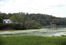 Crecimiento descontrolado del Lago de Valencia