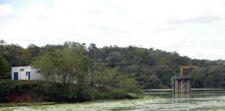 Crecimiento descontrolado del Lago de Valencia