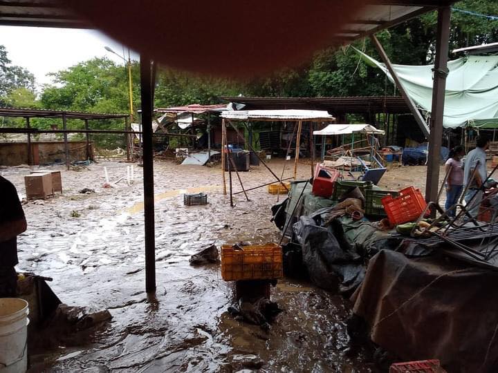 Así quedó el mercado Los Carapos luego de las inundaciones en Rubio. 